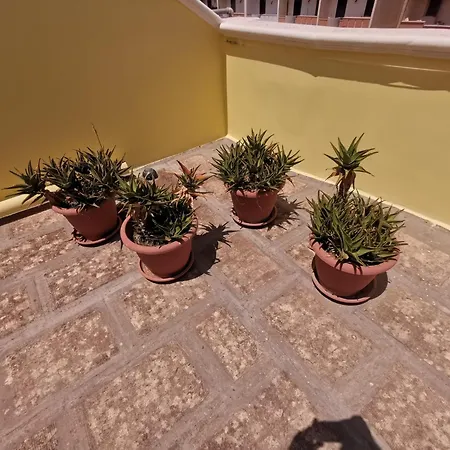 Grace's House فندق مبيت وإفطار